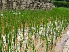 -天河儿童公园