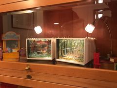 -三鹰之森吉卜力美术馆