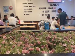 -小杨生煎(香港名都店)