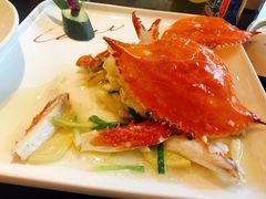 -碧丽宫大酒店(召稼楼店)