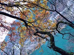 -叠溪松坪沟景区