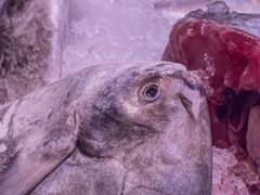 -厝包四点金·潮宴(太古仓店)