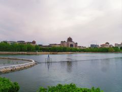 -莲花池公园