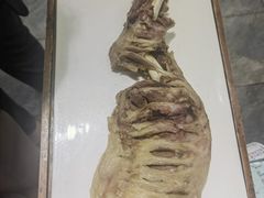 -宁味楼·西北创新融合菜(正源南街宝湖店)