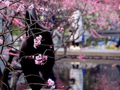 -静安雕塑公园