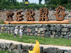 -欢乐松鼠谷