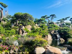 -罗红摄影艺术馆