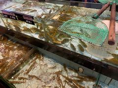 -越百海海鲜蒸锅(乐山店)
