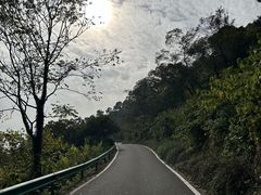 -南京老山国家森林公园