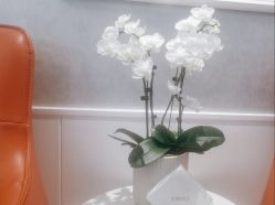-YESIDO椰岛美容