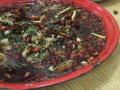 -东吴霸王兔(松青路店)
