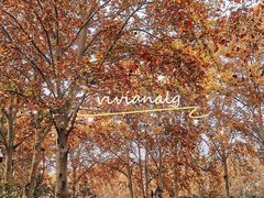 -河南省黄河迎宾馆