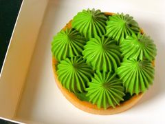 抹茶挞-猫里有甜