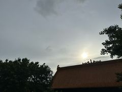 -深圳仙湖植物园