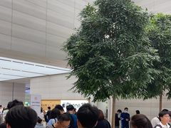 -Apple零售店(济南恒隆广场店)