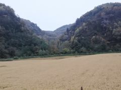 -南泥湾风景区
