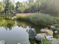 -木塔寺遗址生态公园