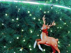 -深圳湾万象城(南山店)