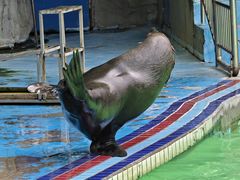 -合肥野生动物园