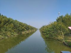 -黄海国家森林公园