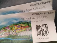 -都江堰玫瑰花溪谷