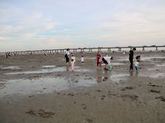 -南汇嘴观海公园