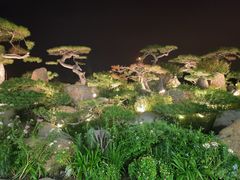 -罗红摄影艺术馆