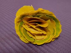 -辽宁大学(崇山校区)