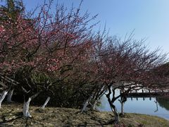 -白塘生态植物园