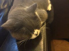 -雪茄客PURAVIDA俱乐部(上海店)