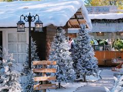 -HERRE·FARM 赫尔露营农场·团建聚会包场