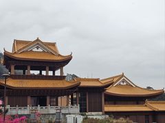-深圳仙湖植物园