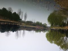 -大兴滨河森林公园