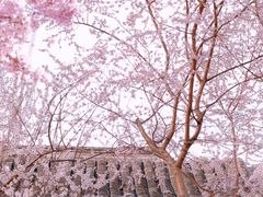 -三里河公园