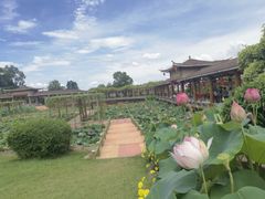 -广州莲花山旅游区