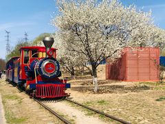 -永定河休闲森林公园