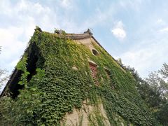 -北京大学百年讲堂