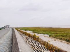 -南汇嘴观海公园