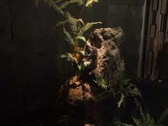 -泰之源足浴会所(玉环店)