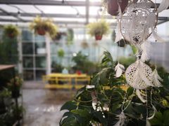 -小时光咖啡馆(北锣鼓巷店)
