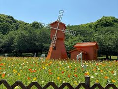 -苏州上方山国家森林公园