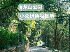 -杭州半山国家森林公园-龙山公园