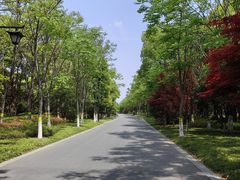 -狼山风景名胜区