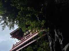 -叩齿古寺