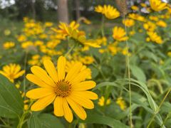 -安德鲁户外烧烤帐篷营地(马泉营店)