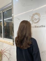 -潘多拉Hairsalon