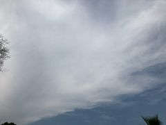 -红豆杉庄会议中心