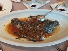 -尚一汤·粤菜海鲜(环球港店)