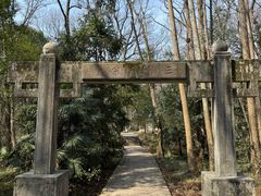 -紫霞湖公园
