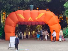 -南湖梦幻岛